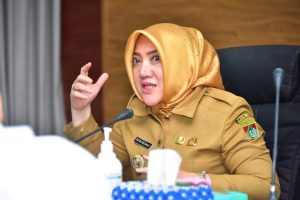 Hj. Ratna Machmud, Pemkab Mura Siap Fasilitasi Jaringan Listrik Desa Sindang Laya dan Mukti Karya 